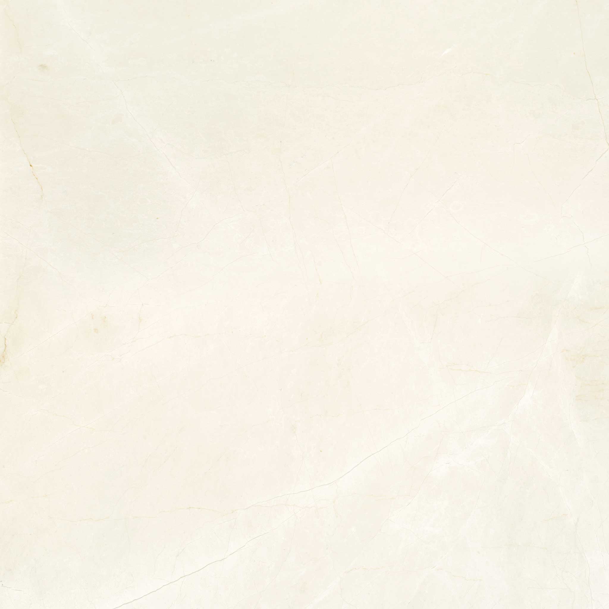 Avorio Crema 24x24 | Classic Tile Imports