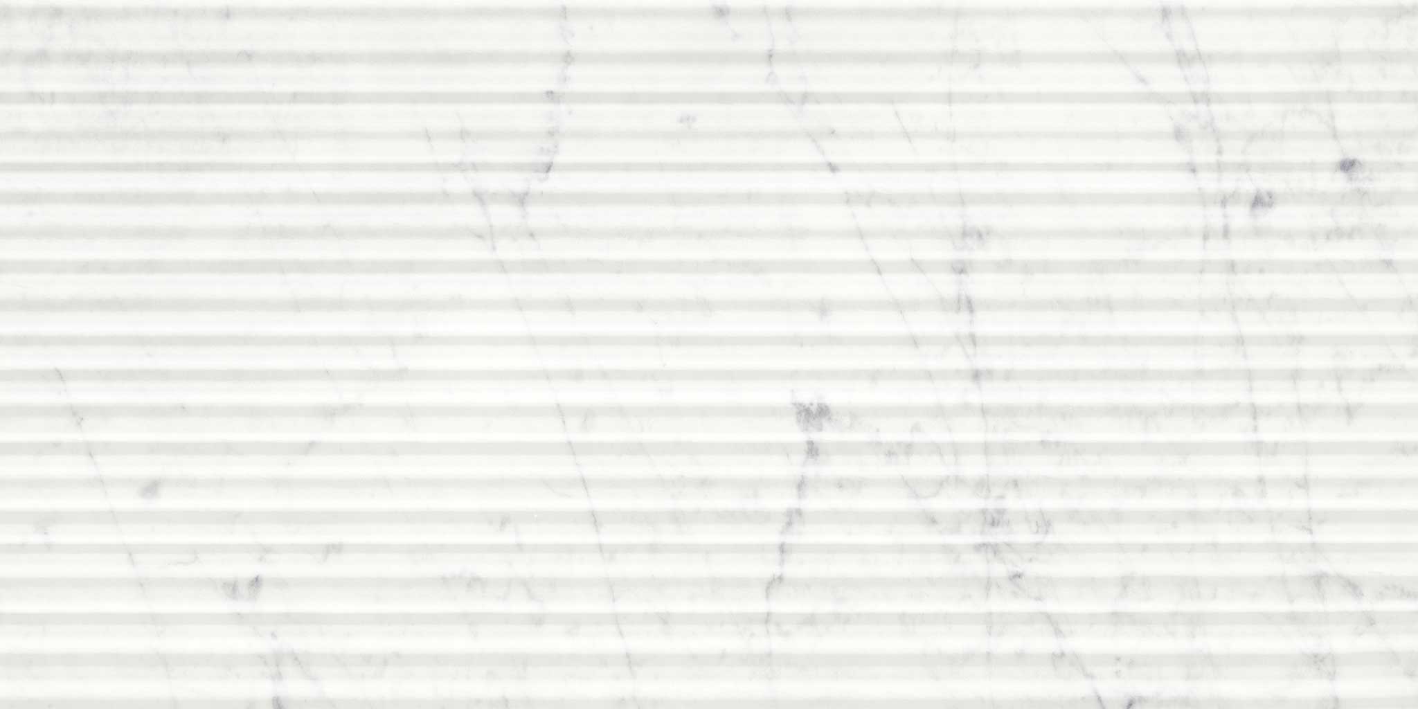 Eterna Bianco 12x24 Honed Curva | Classic Tile Imports