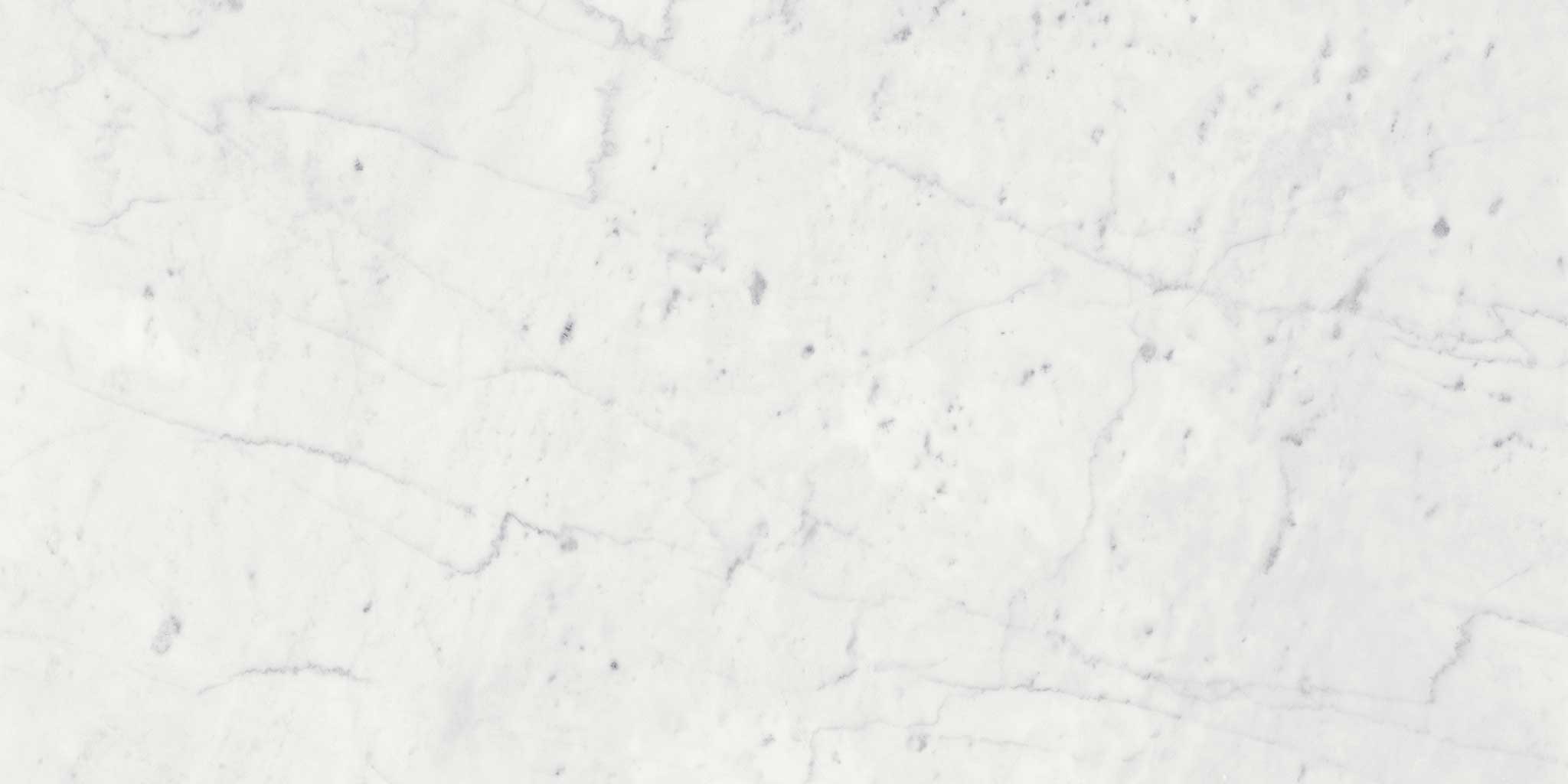 Eterna Bianco 24x24 Honed | Classic Tile Imports