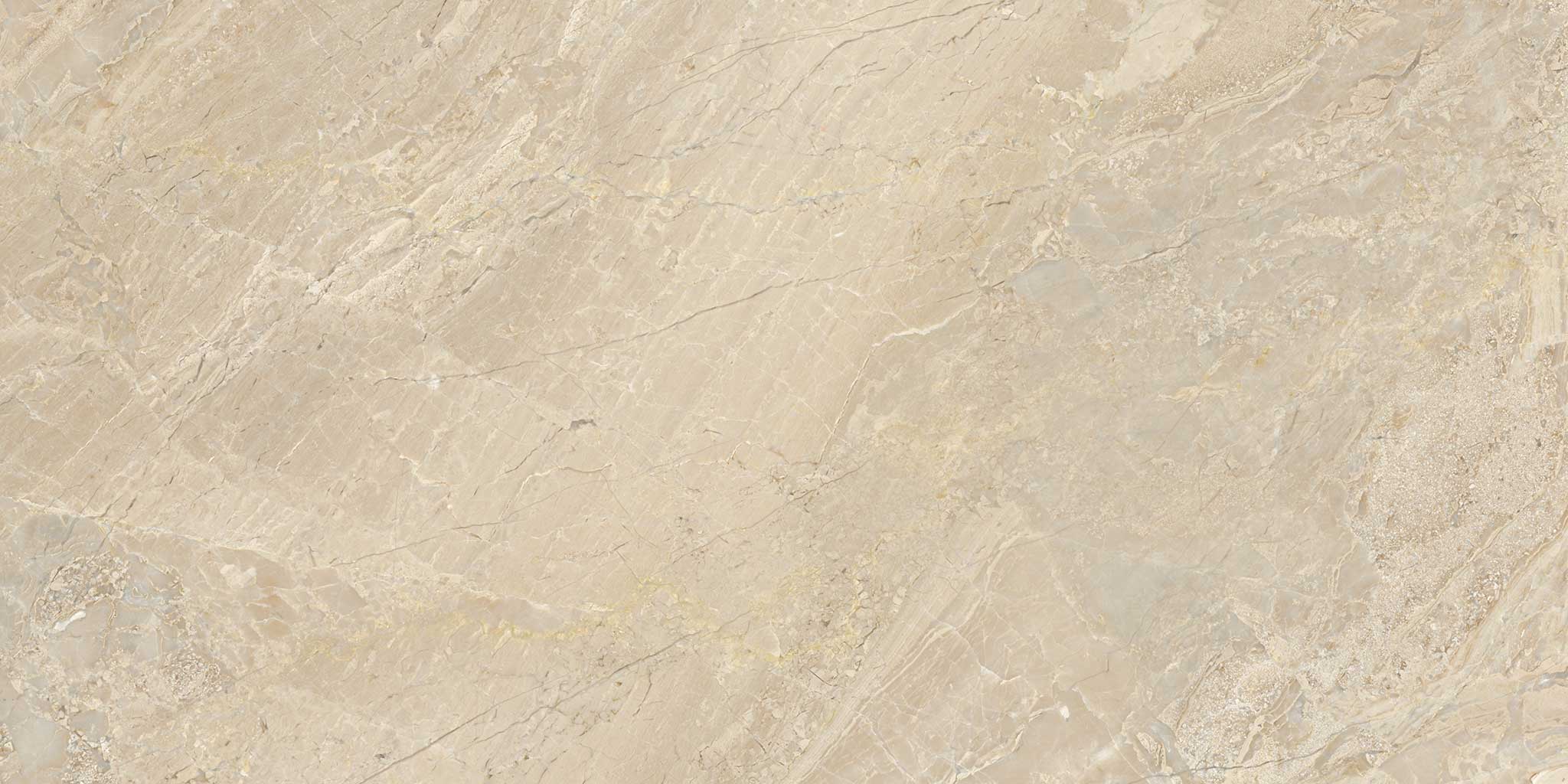 Impero Reale 12x24 Polished | Classic Tile Imports