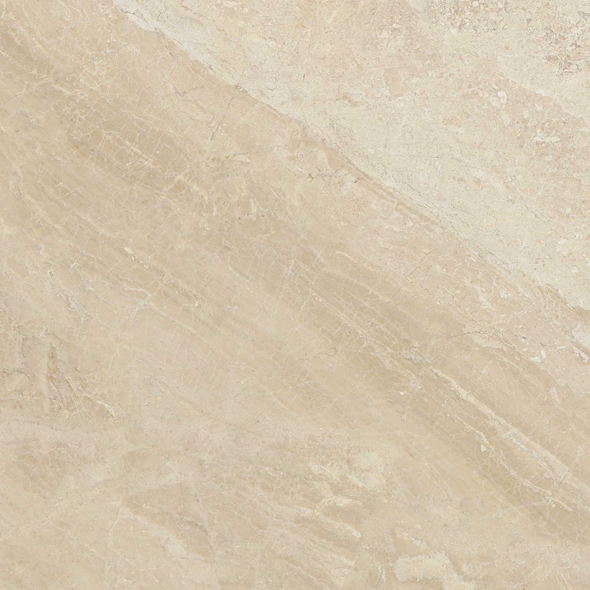 Impero Reale 24x24 Polished | Classic Tile Imports