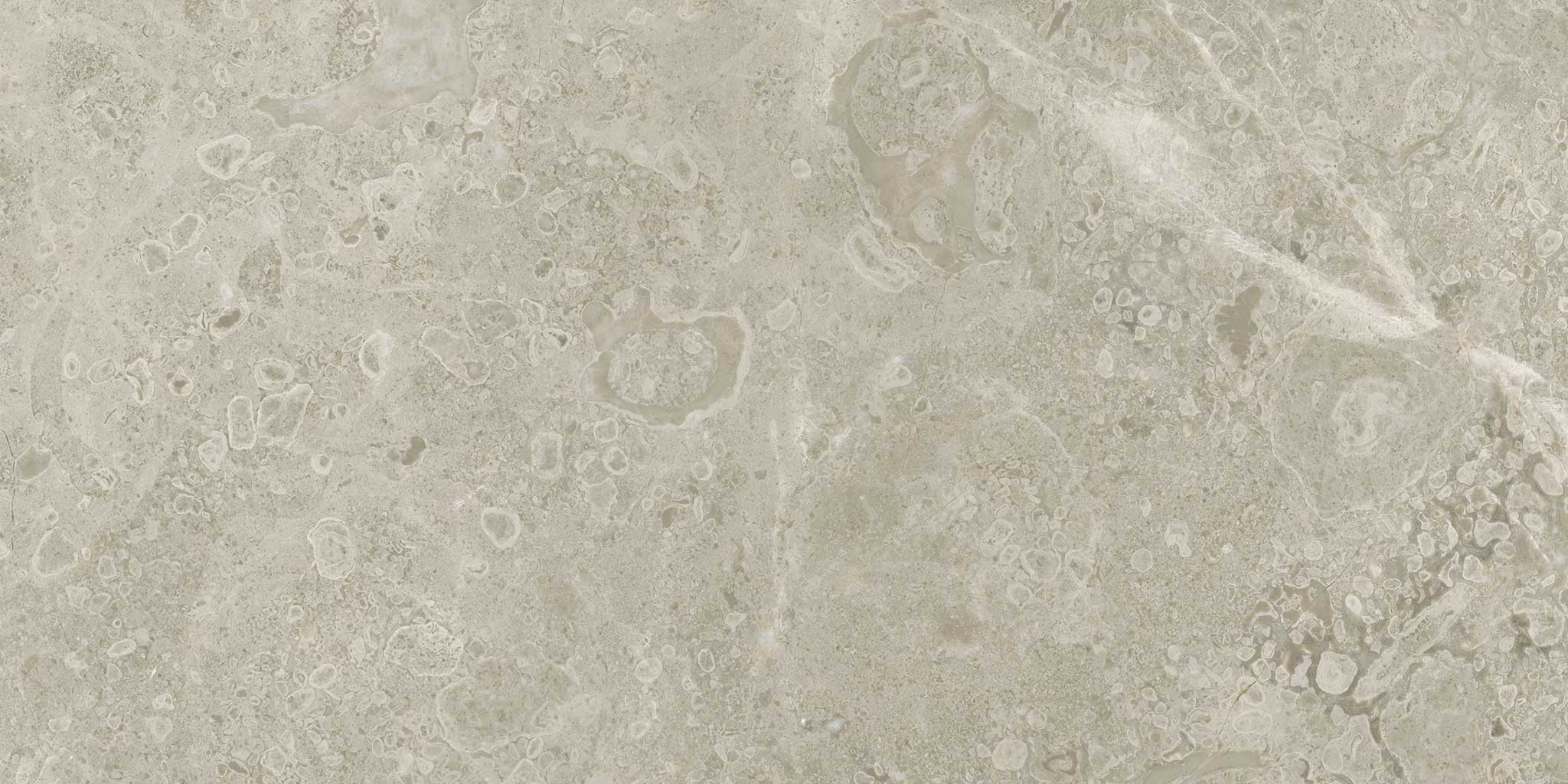 Ritz Gray 12x24 | Classic Tile Imports