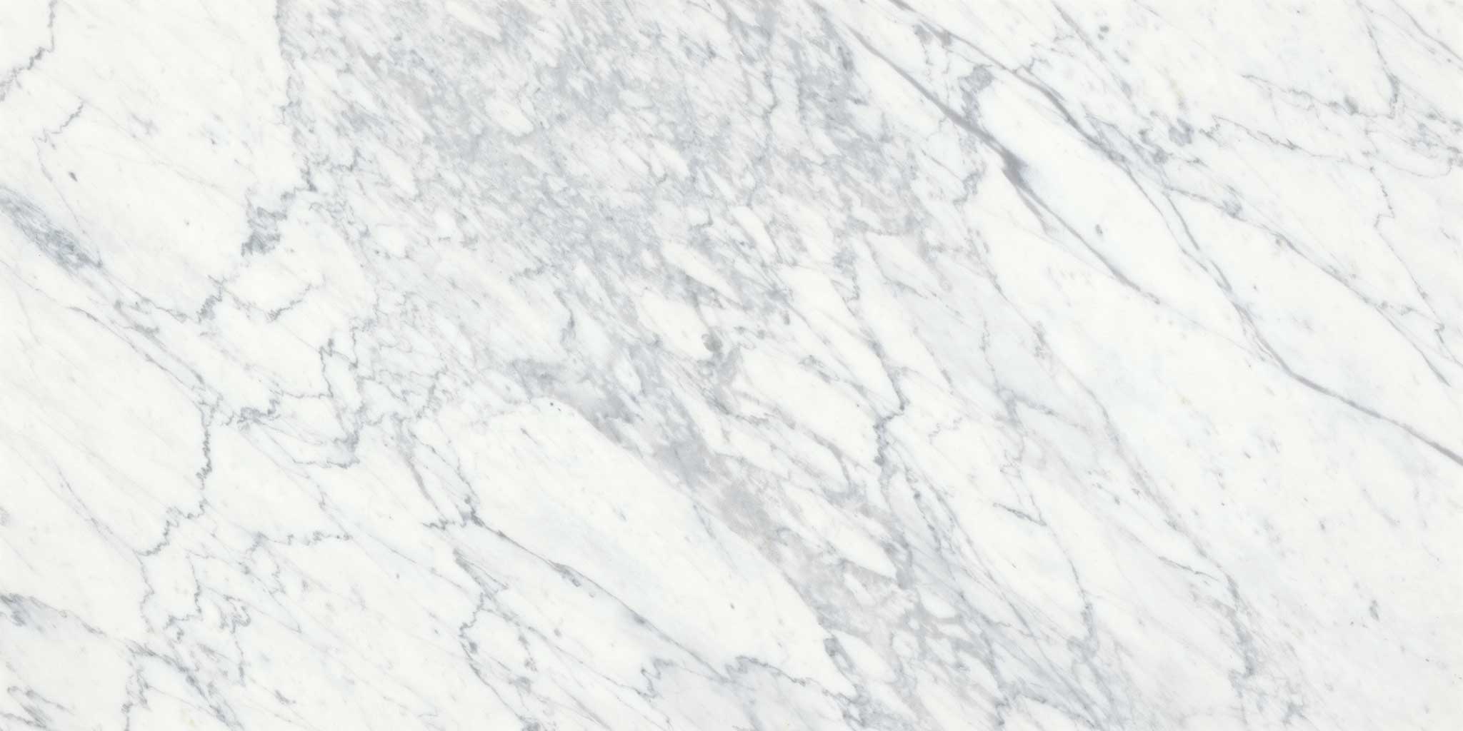 Virtue Bianco 18x36 | Classic Tile Imports