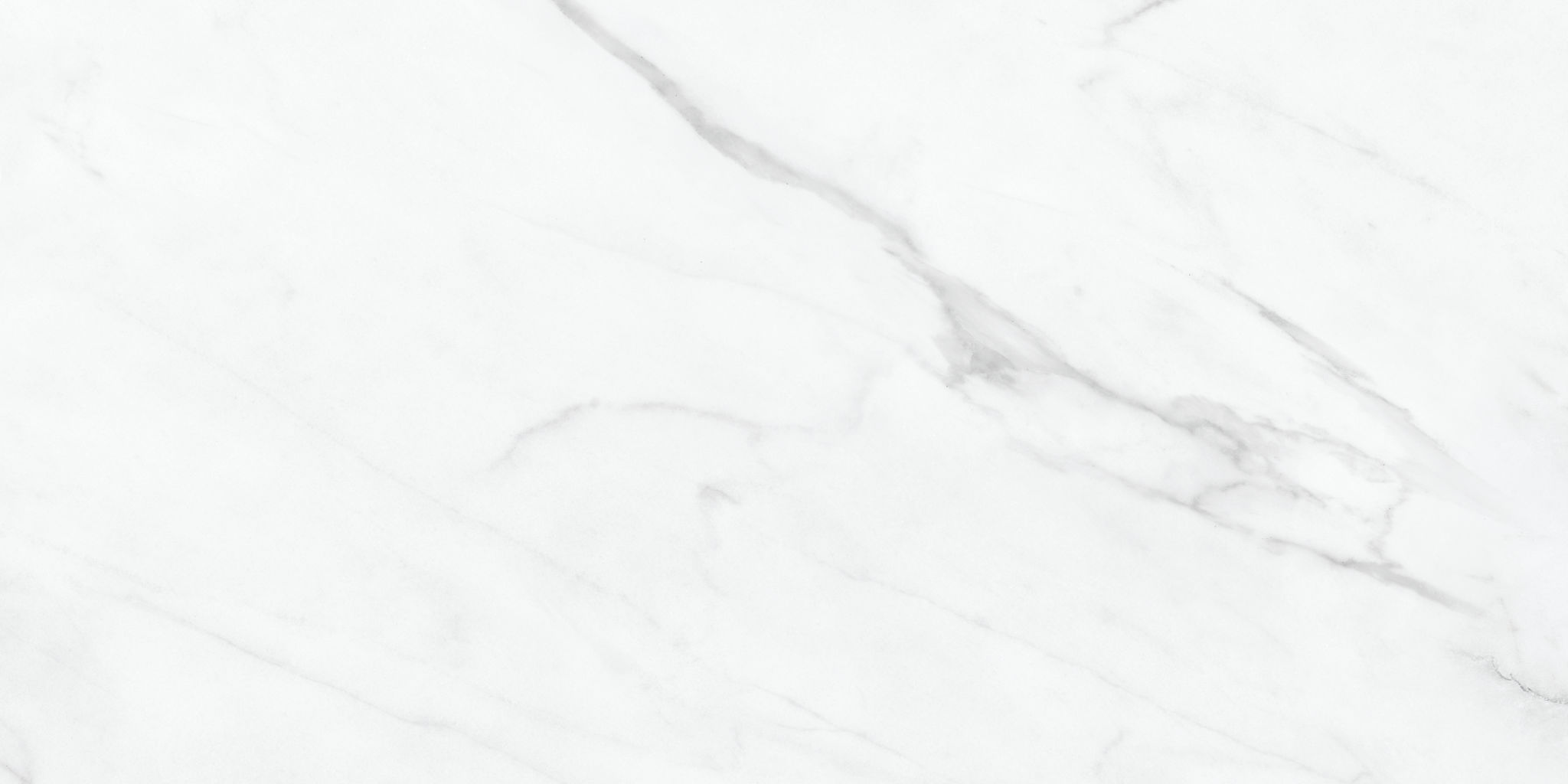 Altezza 12x24 Carrara | Classic Tile Imports