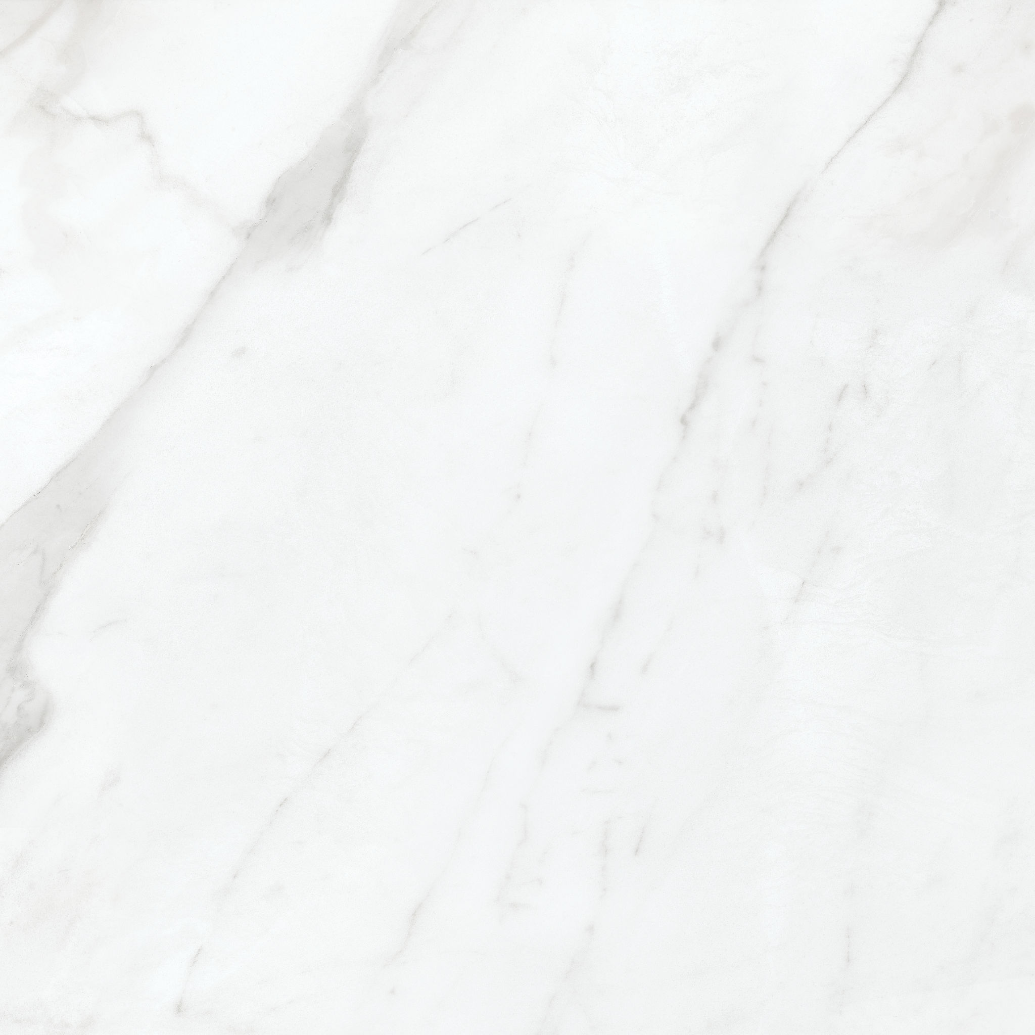 Altezza 20x20 Carrara | Classic Tile Imports