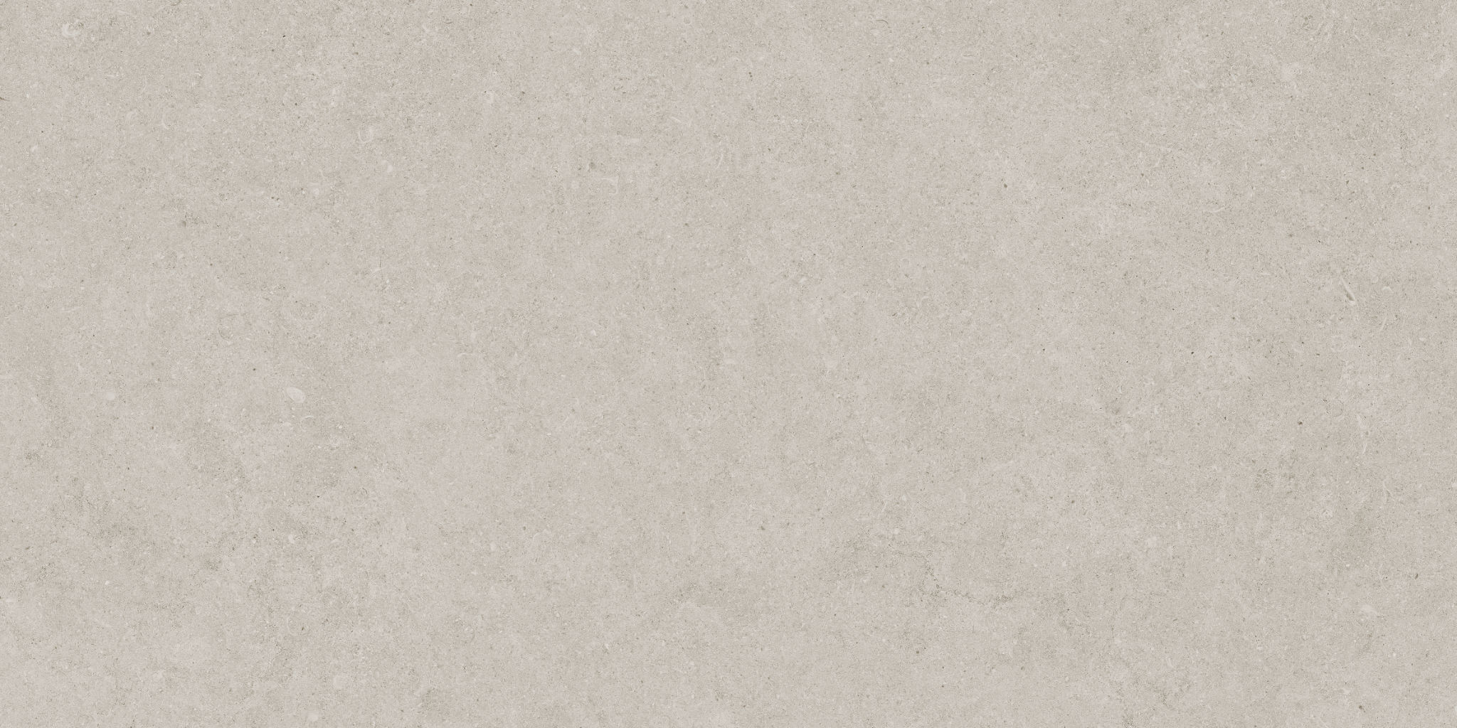 Lithoform 12X24 Crosscut Coast | Classic Tile Imports