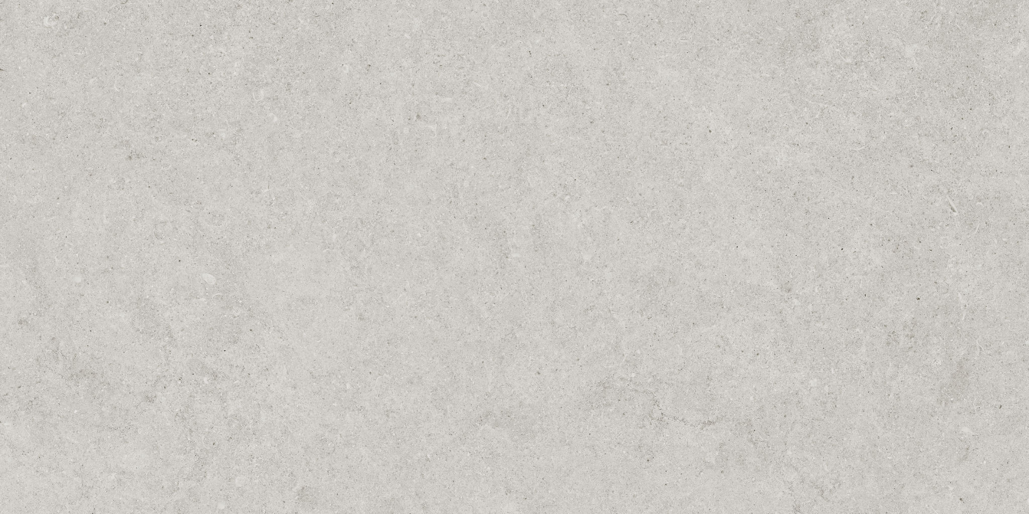 Lithoform 12X24 Crosscut Vista | Classic Tile Imports