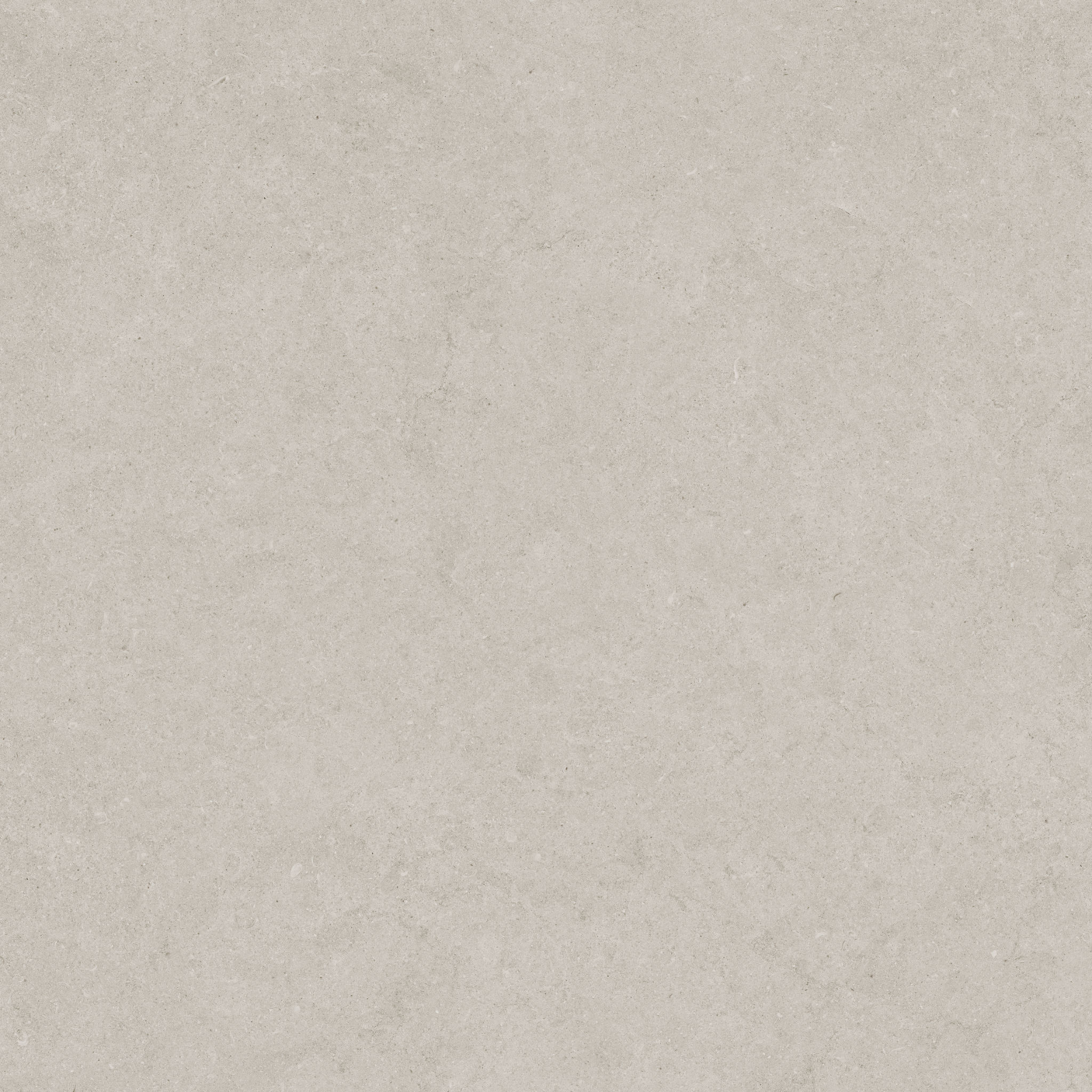 Lithoform 24X24 Crosscut Coast | Classic Tile Imports