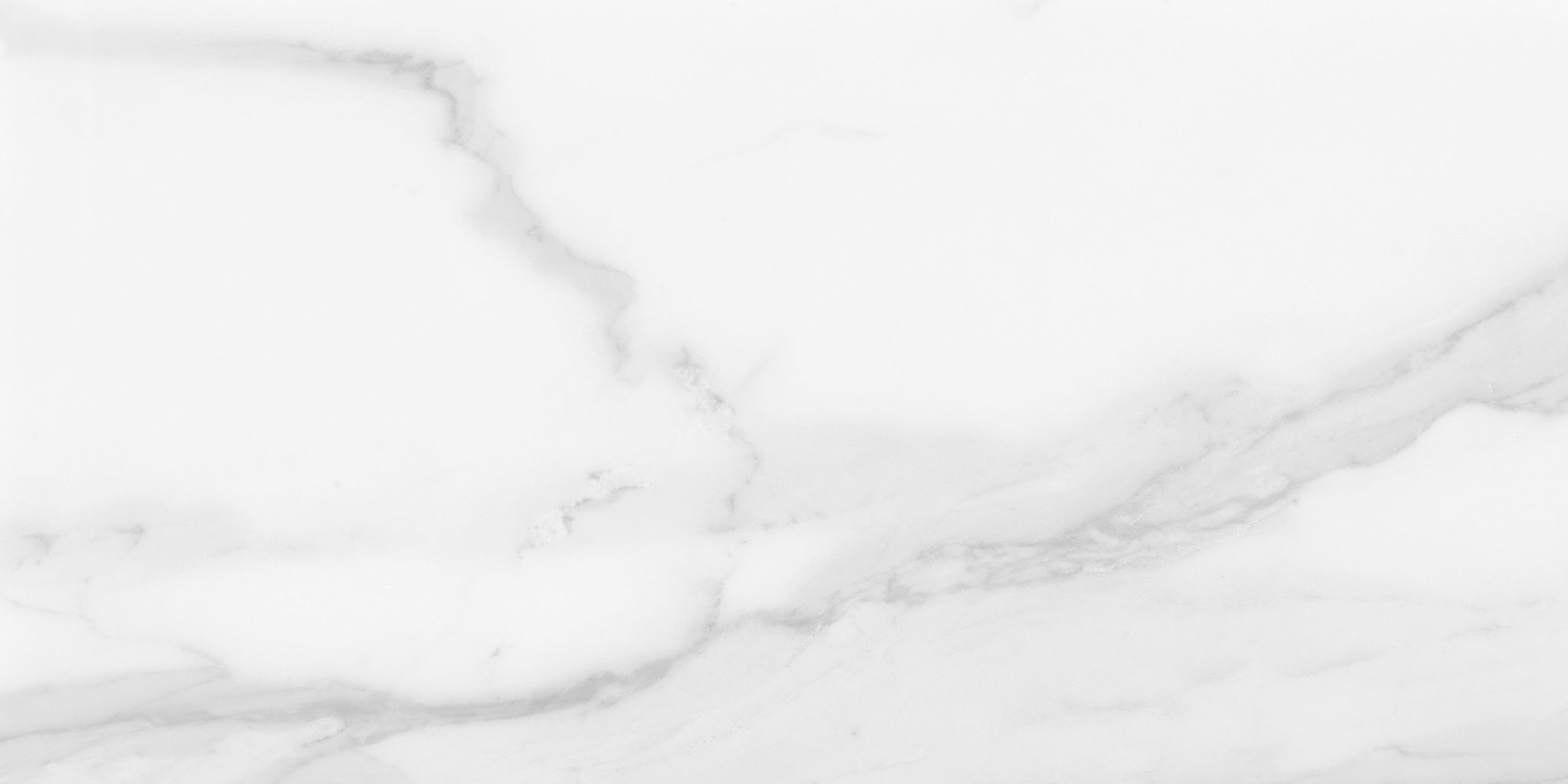 Plata 12x24 Statuario Brina Matte | Classic Tile Imports