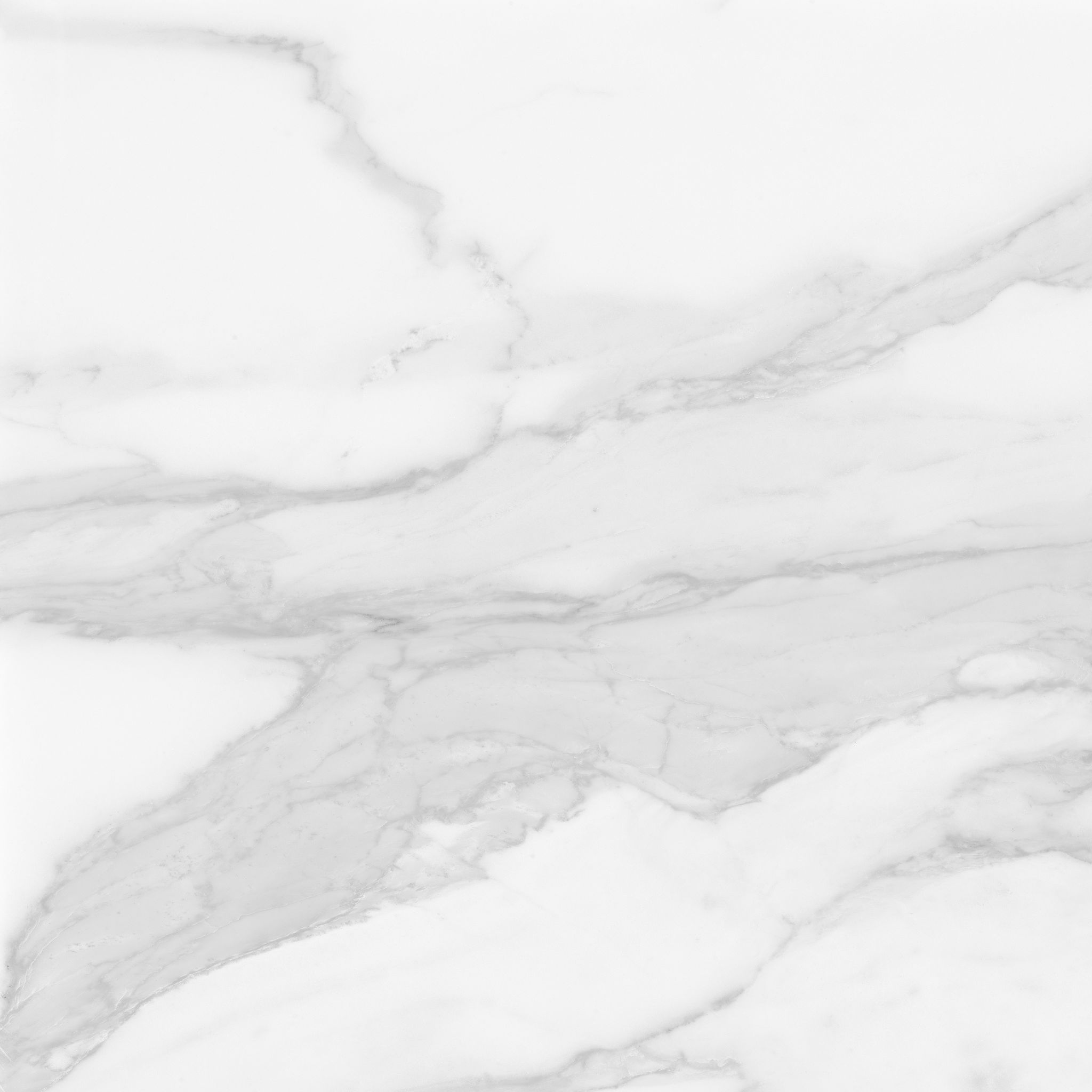 Plata 24x24 Statuario Brina Matte | Classic Tile Imports
