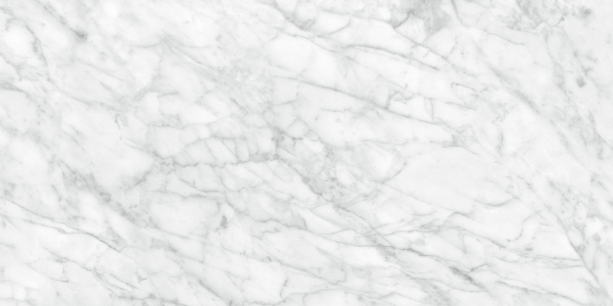 Plata 24x48 Carrara Abisso Matte | Classic Tile Imports