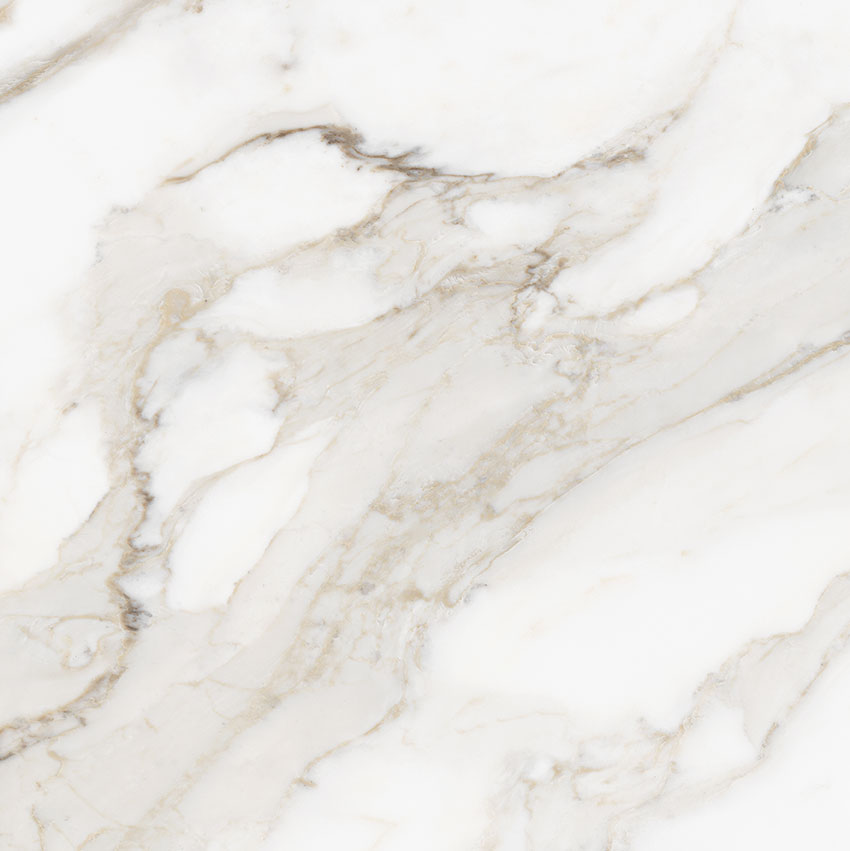 Royal Stoneworks 24X24 Calacatta Royale Honed | Classic Tile Imports