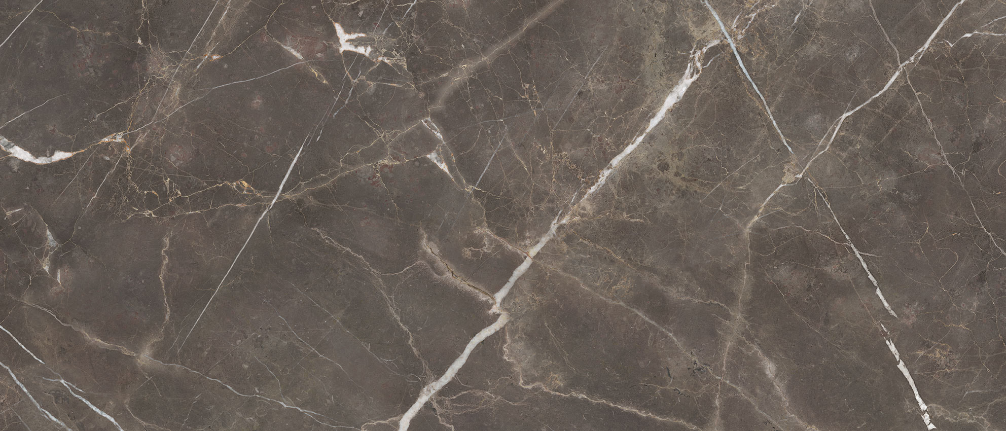 Royal Stoneworks 48X110 Regal Brown Marble Honed | Classic Tile Imports