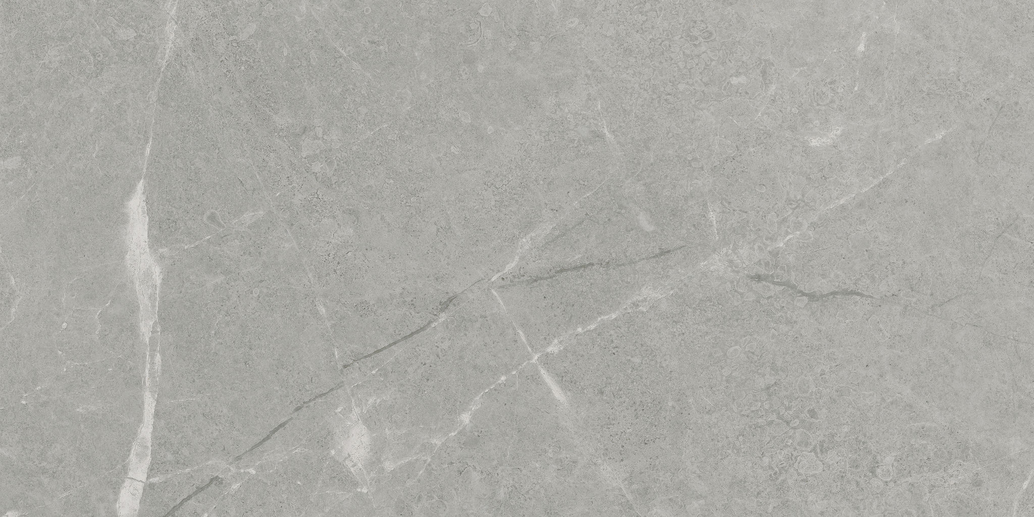 Torino 12x24 Argento | Classic Tile Imports
