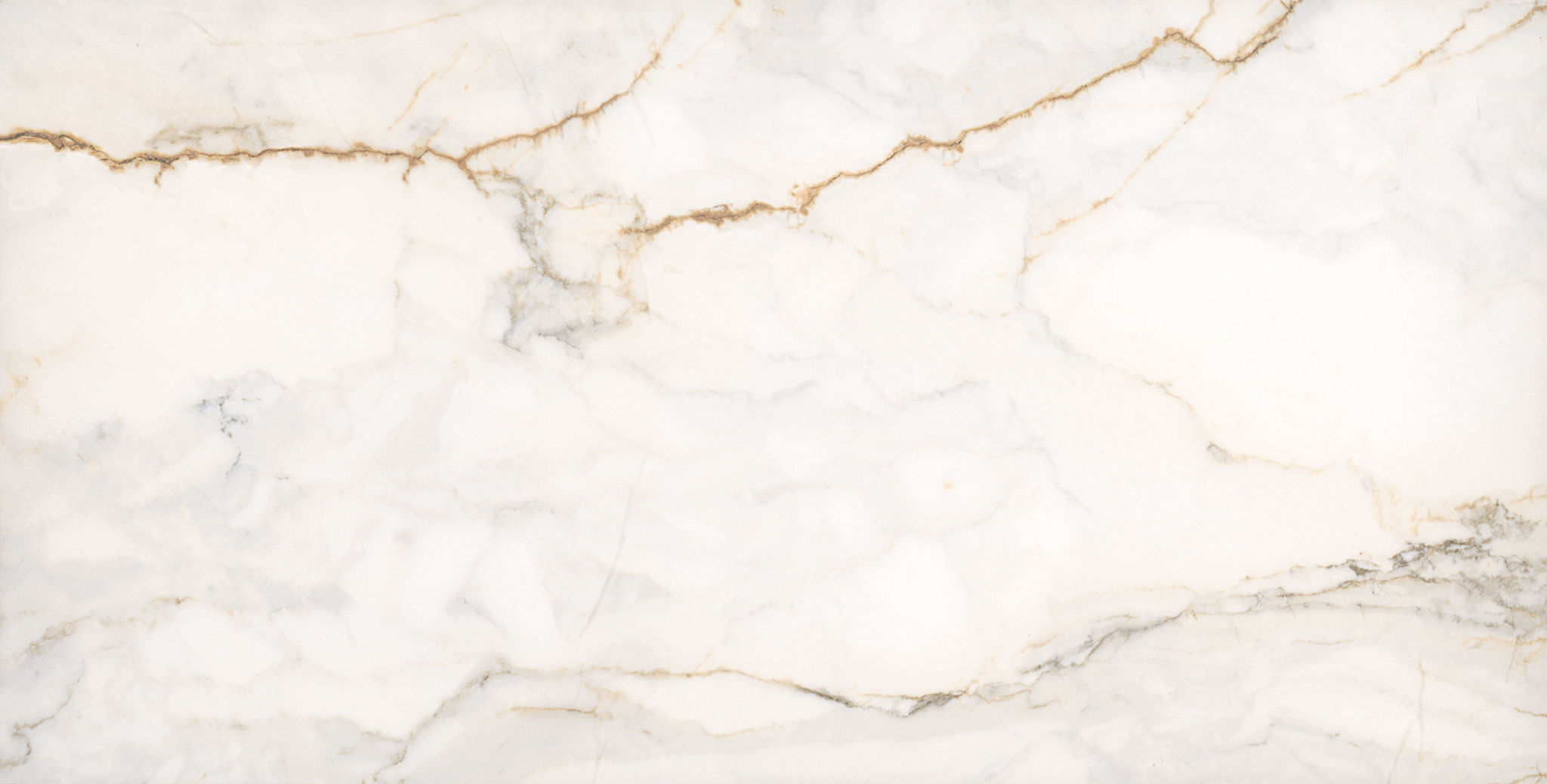 Treasure II Perfect Calacatta 12x24 Polished | Classic Tile Imports